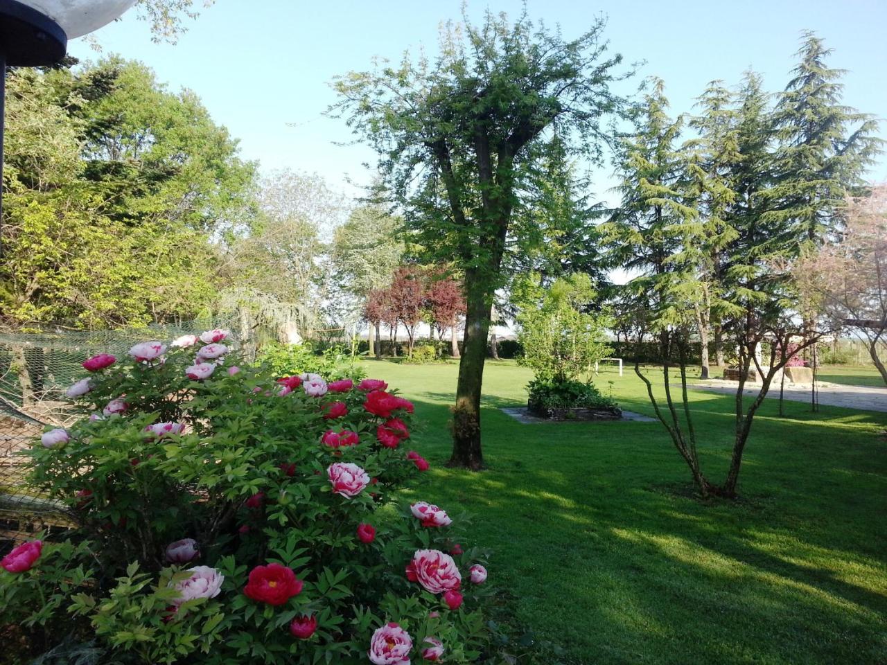 Dogana Vecchia - Hotel & Residence B&B Ristorante & Pizzeria Trivignano Udinese Kültér fotó